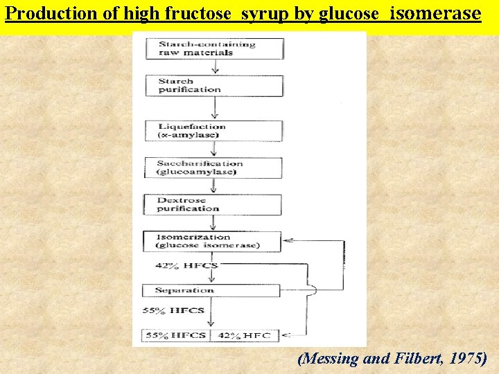 Production of high fructose syrup by glucose isomerase (Messing and Filbert, 1975) 