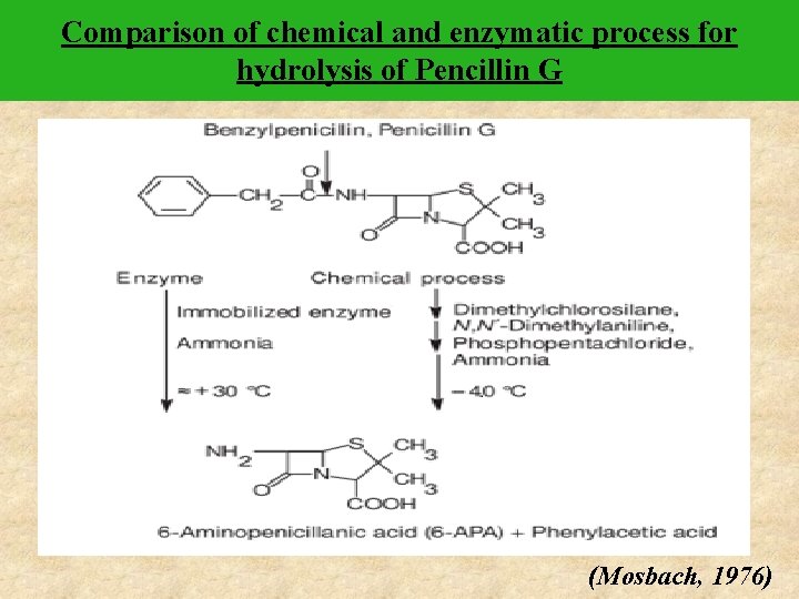 Comparison of chemical and enzymatic process for hydrolysis of Pencillin G (Mosbach, 1976) 