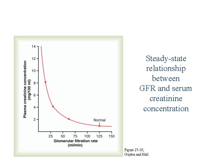 Steady-state relationship between GFR and serum creatinine concentration Figure 27 -19; Guyton and Hall