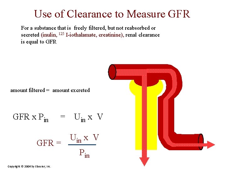 Use of Clearance to Measure GFR For a substance that is freely filtered, but