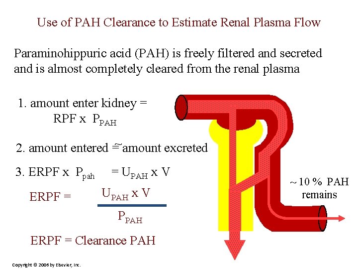 Use of PAH Clearance to Estimate Renal Plasma Flow Paraminohippuric acid (PAH) is freely