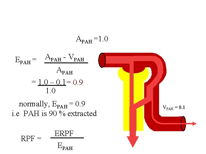 To Calculate Actual RPF , One Must Correct for Incomplete Extraction of PAH APAH