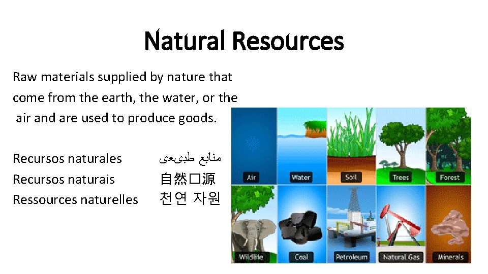 Natural Resources Raw materials supplied by nature that come from the earth, the water,