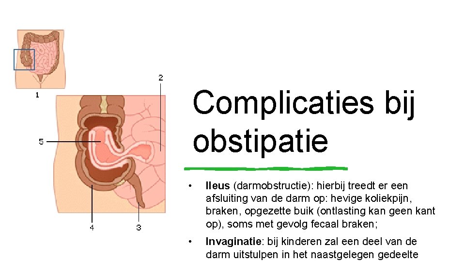 Complicaties bij obstipatie • Ileus (darmobstructie): hierbij treedt er een afsluiting van de darm