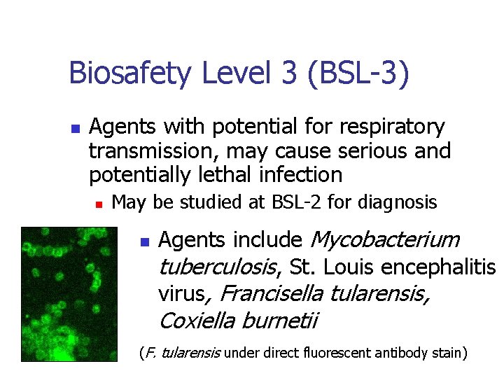 Biosafety Level 3 (BSL-3) n Agents with potential for respiratory transmission, may cause serious