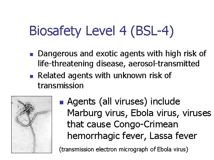 Biosafety Level 4 (BSL-4) n n Dangerous and exotic agents with high risk of