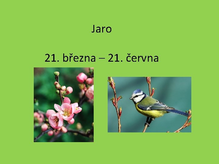 Jaro 21. března – 21. června 