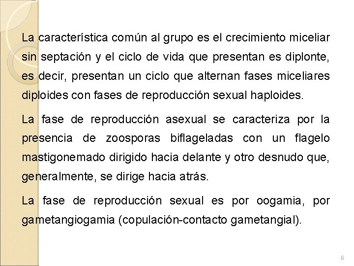 La característica común al grupo es el crecimiento miceliar sin septación y el ciclo