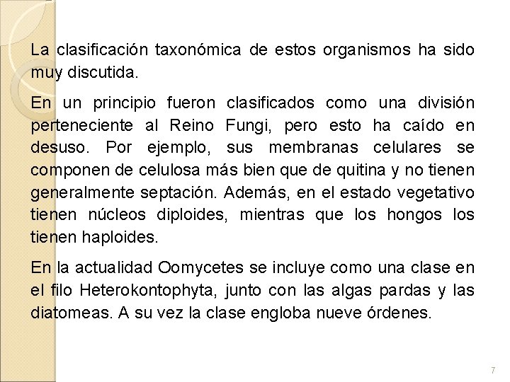 La clasificación taxonómica de estos organismos ha sido muy discutida. En un principio fueron