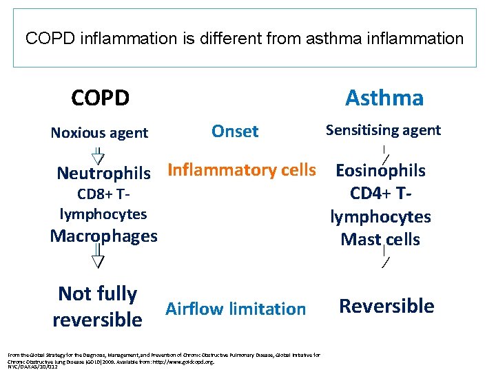 COPD inflammation is different from asthma inflammation COPD Noxious agent Asthma Onset Sensitising agent