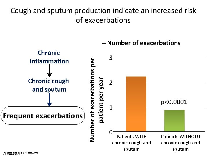 Cough and sputum production indicate an increased risk of exacerbations Chronic inflammation Chronic cough