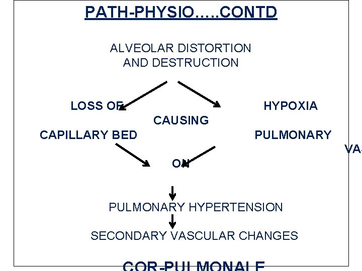 PATH-PHYSIO…. . CONTD ALVEOLAR DISTORTION AND DESTRUCTION LOSS OF HYPOXIA CAUSING CAPILLARY BED PULMONARY