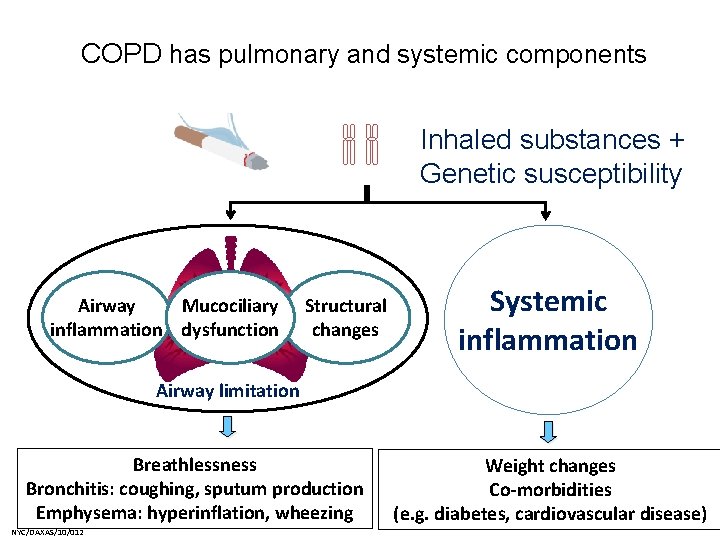 COPD has pulmonary and systemic components Inhaled substances + Genetic susceptibility Airway Mucociliary inflammation