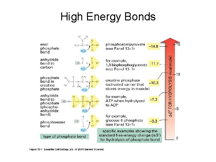 High Energy Bonds 