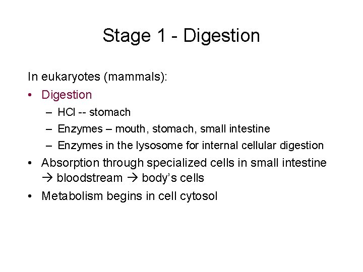 Stage 1 - Digestion In eukaryotes (mammals): • Digestion – HCl -- stomach –