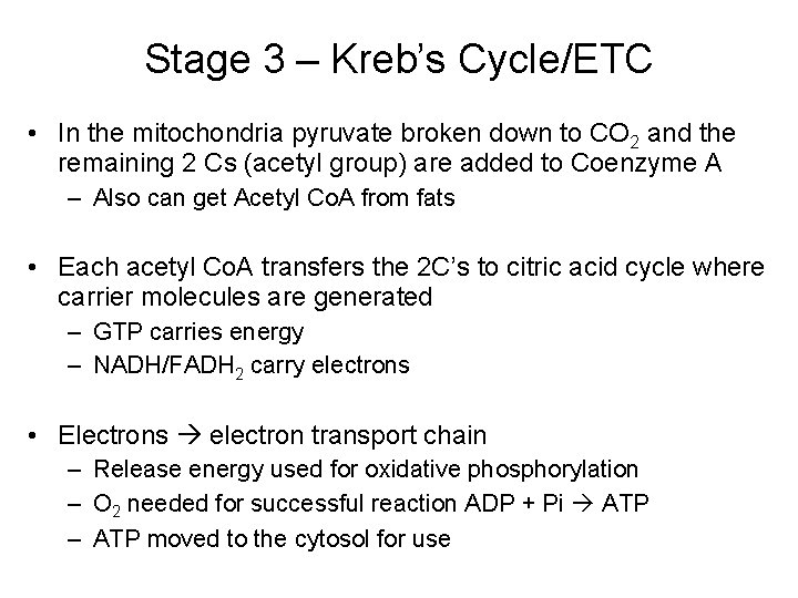 Stage 3 – Kreb’s Cycle/ETC • In the mitochondria pyruvate broken down to CO