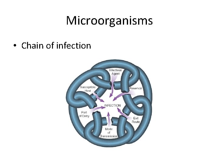 Microorganisms • Chain of infection 