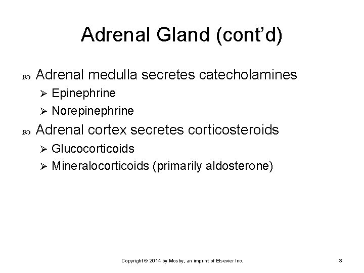 Adrenal Gland (cont’d) Adrenal medulla secretes catecholamines Epinephrine Ø Norepinephrine Ø Adrenal cortex secretes