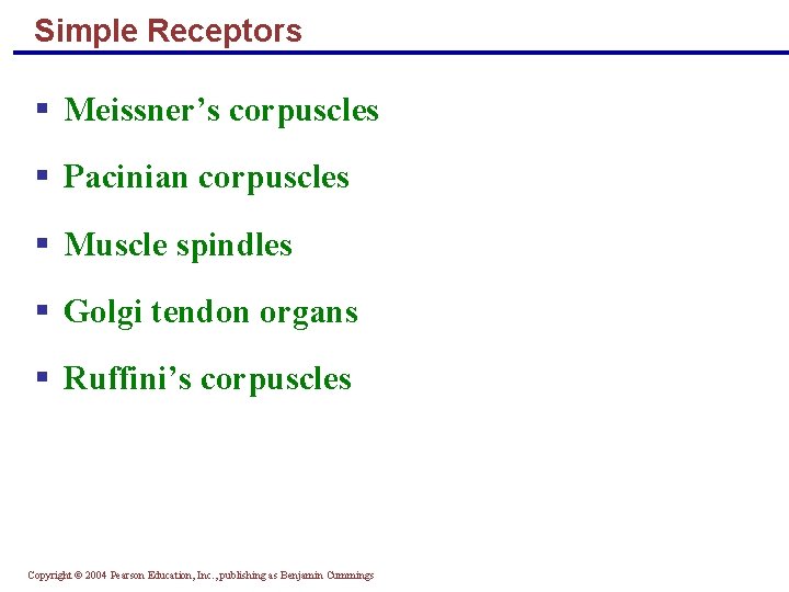 Simple Receptors § Meissner’s corpuscles § Pacinian corpuscles § Muscle spindles § Golgi tendon