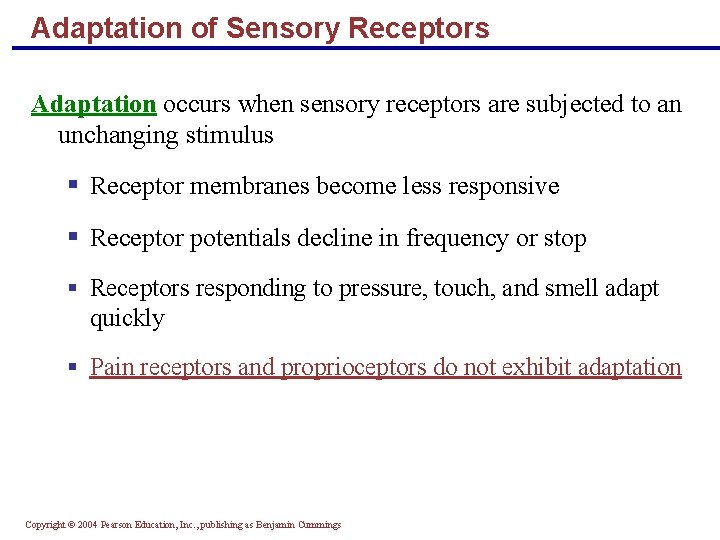 Adaptation of Sensory Receptors Adaptation occurs when sensory receptors are subjected to an unchanging