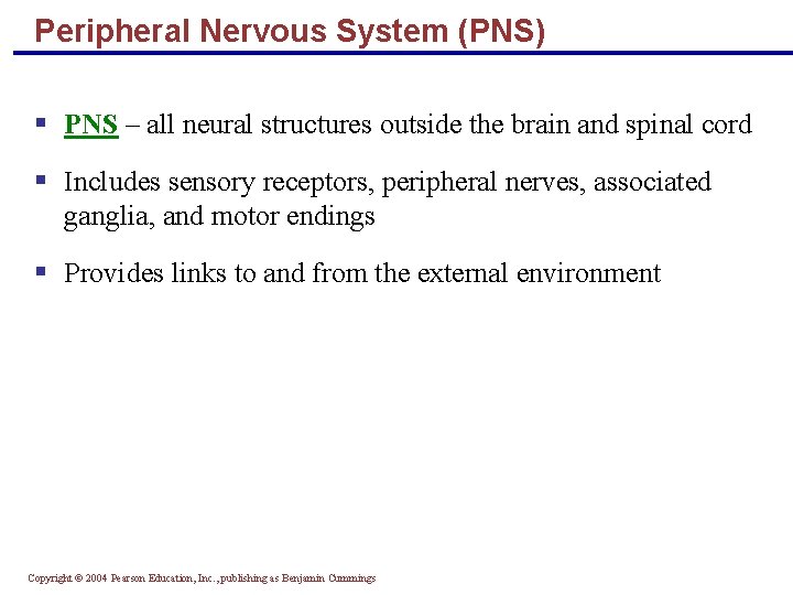 Peripheral Nervous System (PNS) § PNS – all neural structures outside the brain and