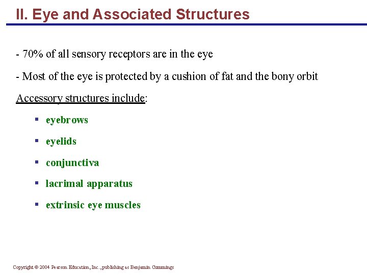 II. Eye and Associated Structures - 70% of all sensory receptors are in the