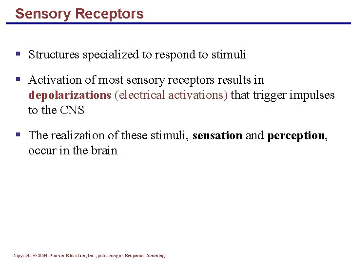 Sensory Receptors § Structures specialized to respond to stimuli § Activation of most sensory