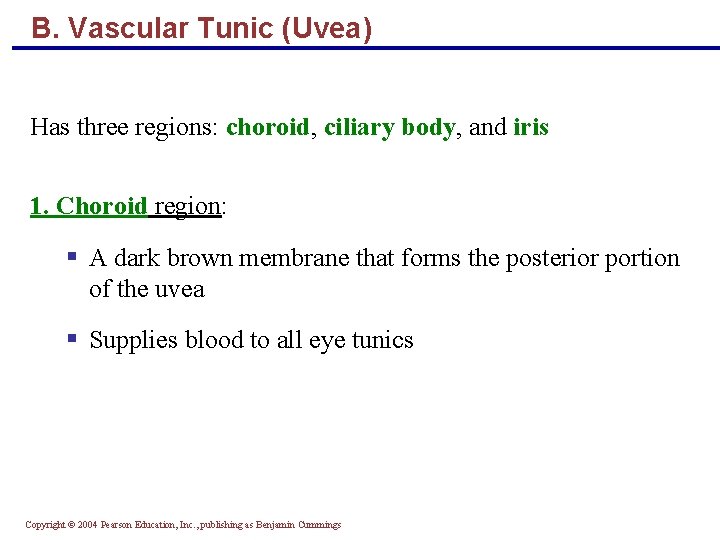 B. Vascular Tunic (Uvea) Has three regions: choroid, ciliary body, and iris 1. Choroid