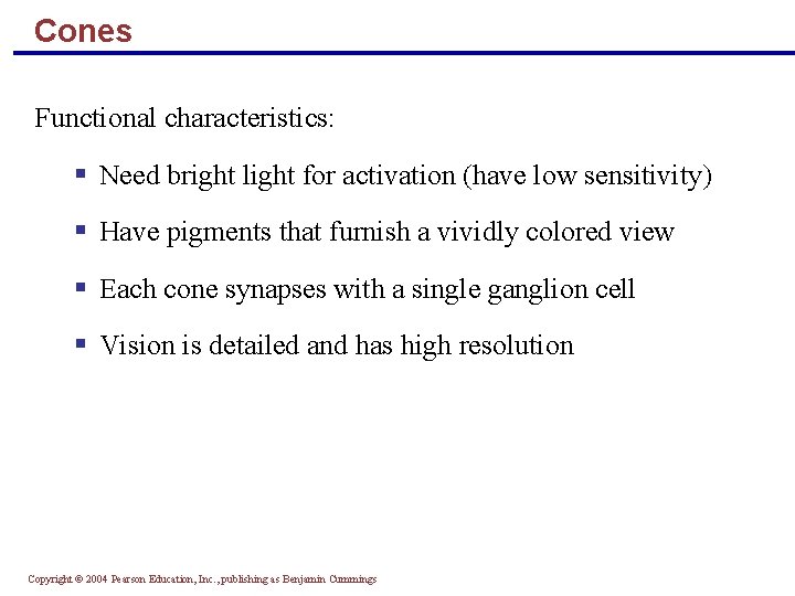 Cones Functional characteristics: § Need bright light for activation (have low sensitivity) § Have