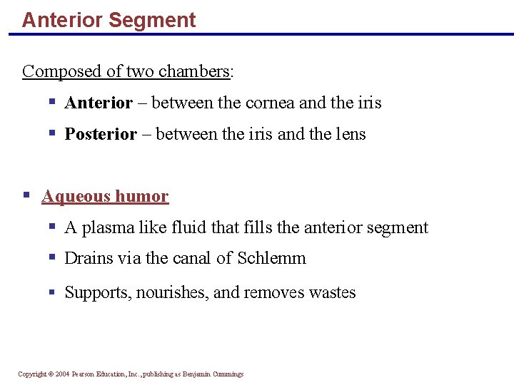 Anterior Segment Composed of two chambers: § Anterior – between the cornea and the