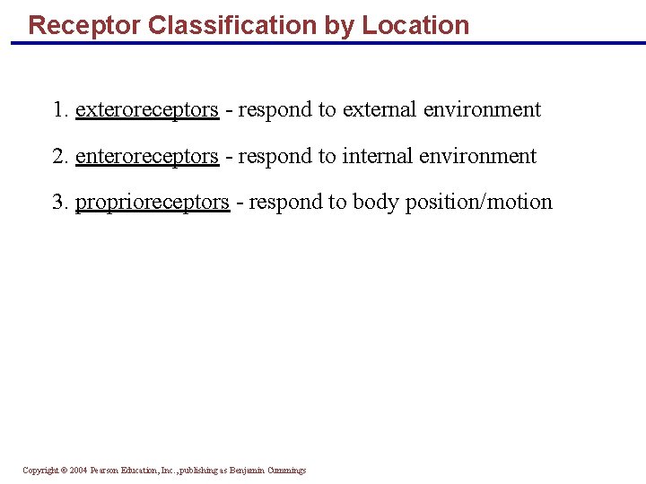 Receptor Classification by Location 1. exteroreceptors - respond to external environment 2. enteroreceptors -
