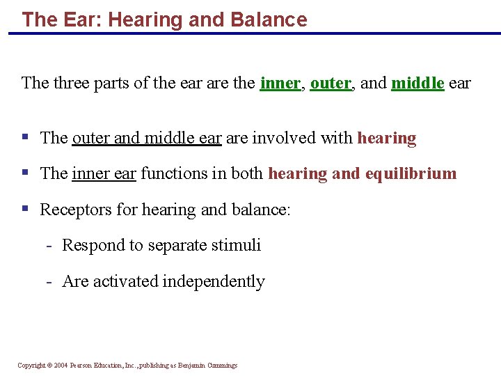 The Ear: Hearing and Balance The three parts of the ear are the inner,