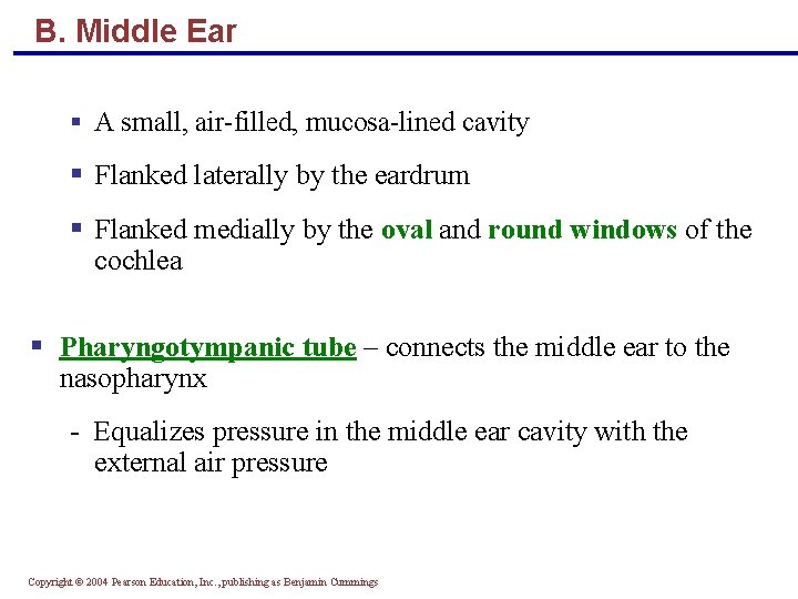 B. Middle Ear § A small, air-filled, mucosa-lined cavity § Flanked laterally by the