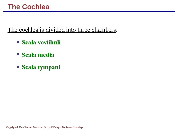 The Cochlea The cochlea is divided into three chambers: § Scala vestibuli § Scala
