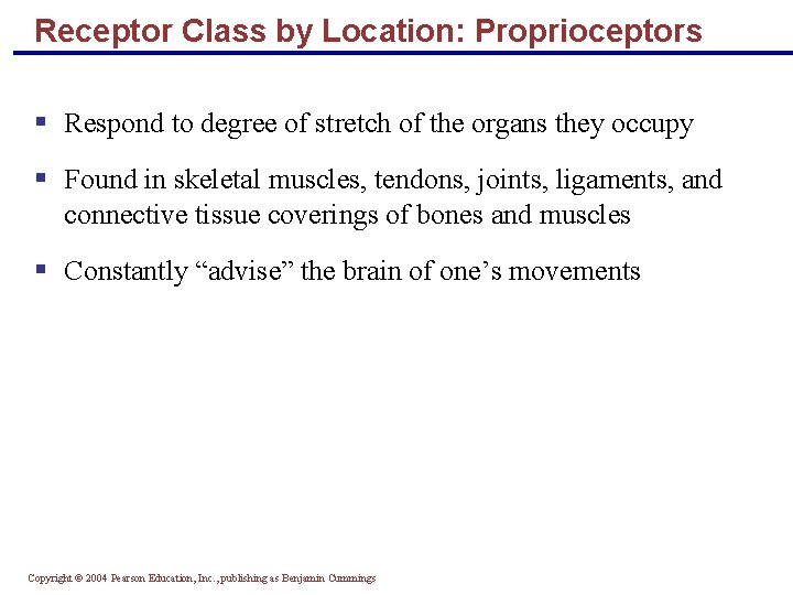 Receptor Class by Location: Proprioceptors § Respond to degree of stretch of the organs