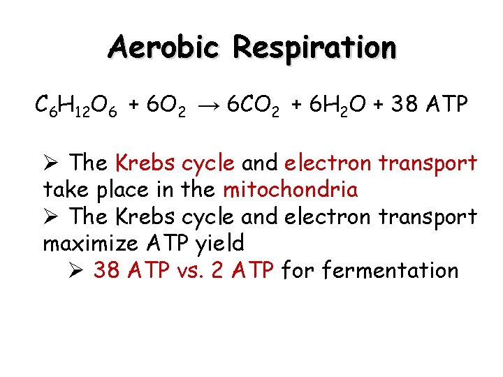 Aerobic Respiration C 6 H 12 O 6 + 6 O 2 → 6