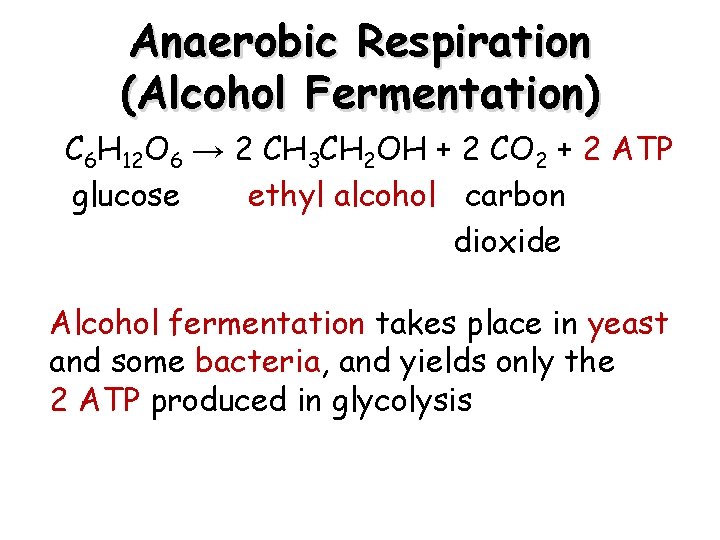 Anaerobic Respiration (Alcohol Fermentation) C 6 H 12 O 6 → 2 CH 3