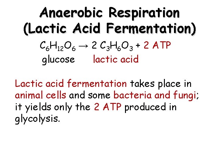 Anaerobic Respiration (Lactic Acid Fermentation) C 6 H 12 O 6 → 2 C