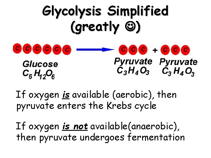 Glycolysis Simplified (greatly ) If oxygen is available (aerobic), then pyruvate enters the Krebs
