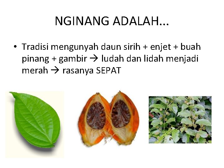 NGINANG ADALAH. . . • Tradisi mengunyah daun sirih + enjet + buah pinang
