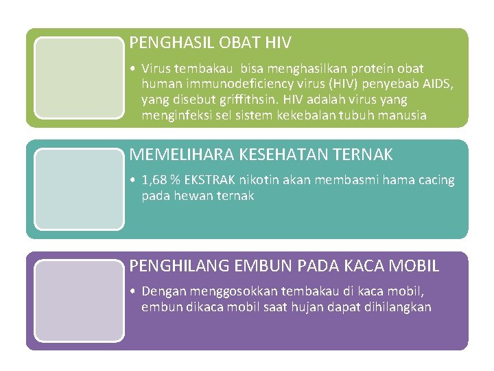 PENGHASIL OBAT HIV • Virus tembakau bisa menghasilkan protein obat human immunodeficiency virus (HIV)