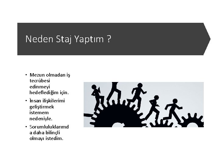 Neden Staj Yaptım ? • Mezun olmadan iş tecrübesi edinmeyi hedeflediğim için. • İnsan