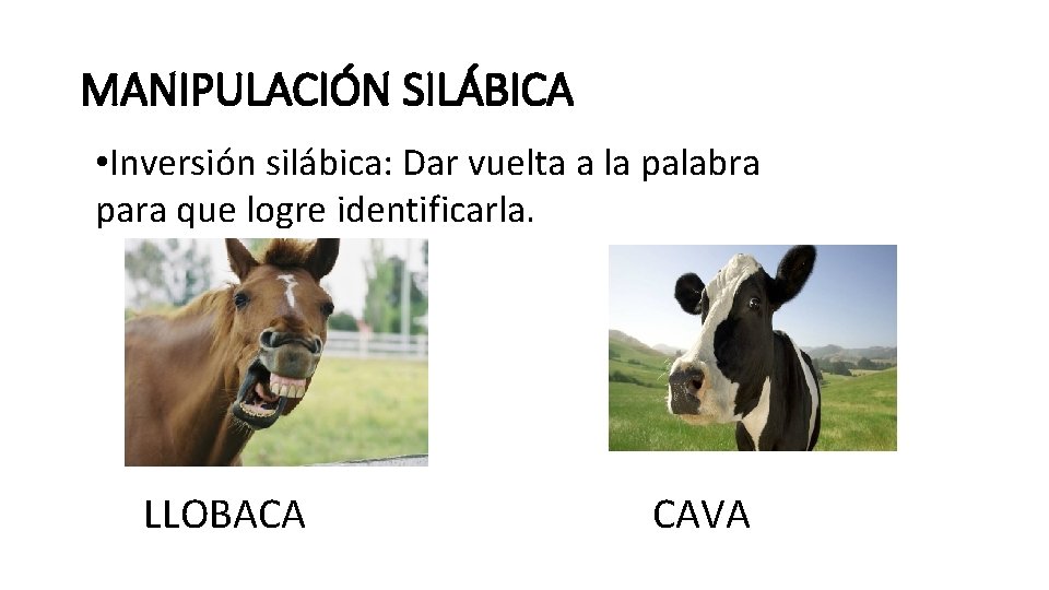 MANIPULACIÓN SILÁBICA • Inversión silábica: Dar vuelta a la palabra para que logre identificarla.