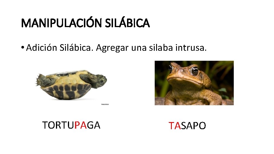 MANIPULACIÓN SILÁBICA • Adición Silábica. Agregar una silaba intrusa. TORTUPAGA TASAPO 