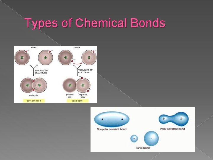 Types of Chemical Bonds 
