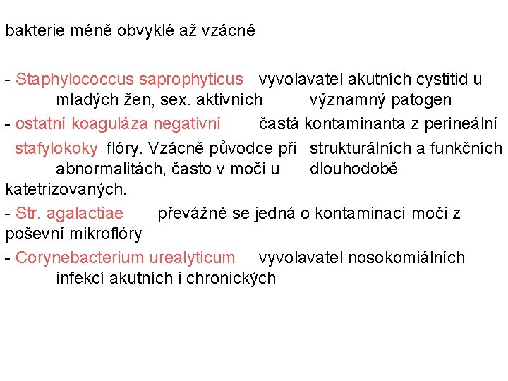 bakterie méně obvyklé až vzácné - Staphylococcus saprophyticus vyvolavatel akutních cystitid u mladých žen,