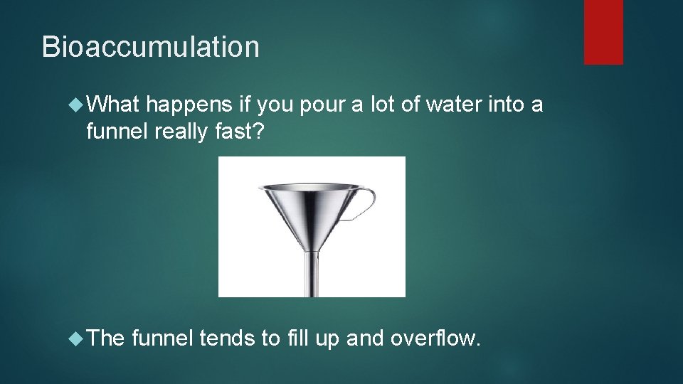 Bioaccumulation What happens if you pour a lot of water into a funnel really