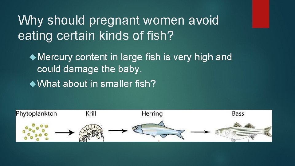 Why should pregnant women avoid eating certain kinds of fish? Mercury content in large