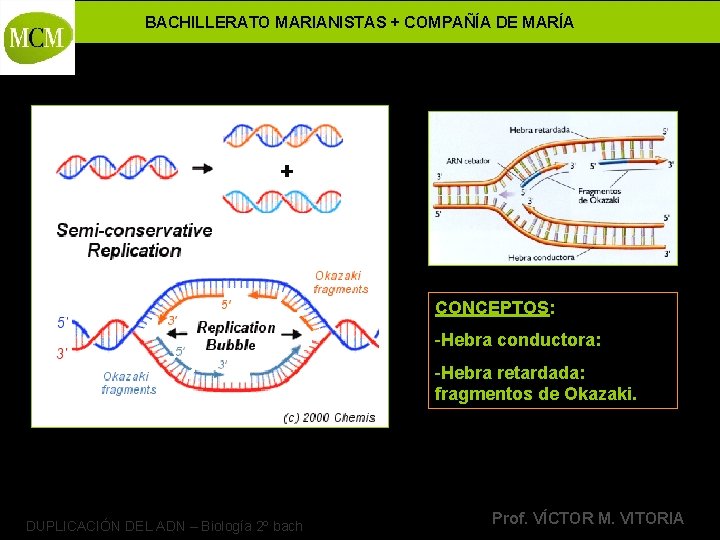 BACHILLERATO MARIANISTAS + COMPAÑÍA DE MARÍA CONCEPTOS: -Hebra conductora: -Hebra retardada: fragmentos de Okazaki.