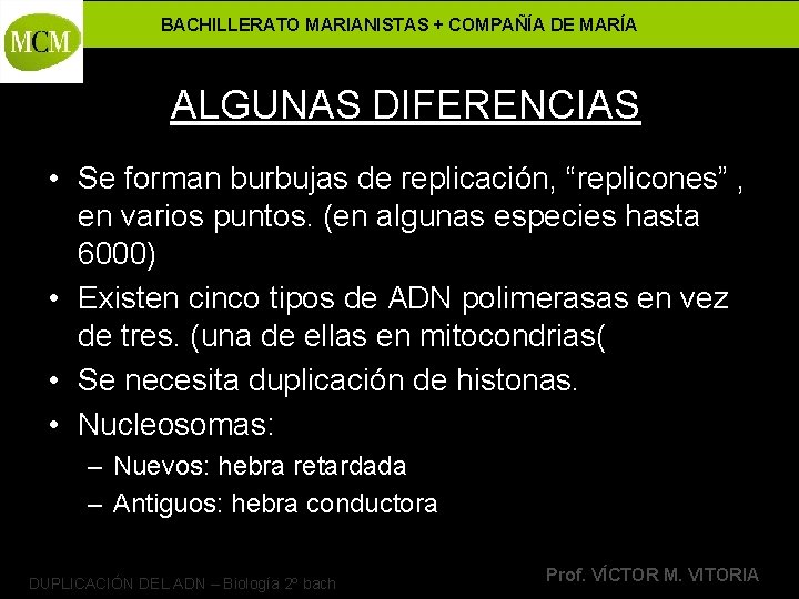 BACHILLERATO MARIANISTAS + COMPAÑÍA DE MARÍA ALGUNAS DIFERENCIAS • Se forman burbujas de replicación,